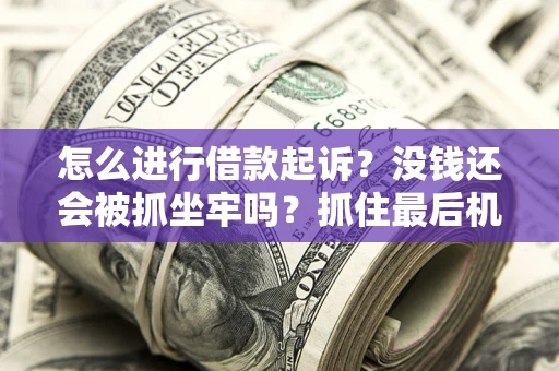 武汉怎么进行借款起诉？没钱还会被抓坐牢吗？抓住最后机会！