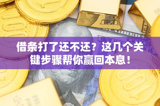 武汉借条打了还不还？这几个关键步骤帮你赢回本息！