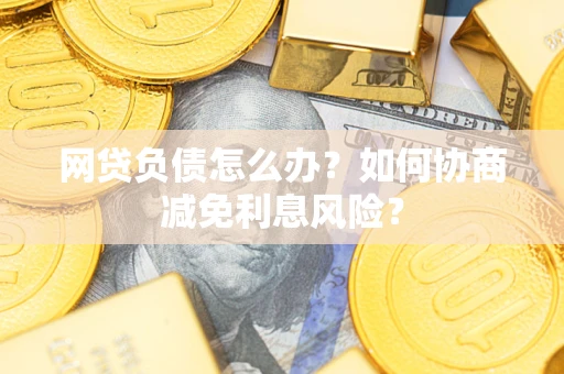 武汉网贷负债怎么办？如何协商减免利息风险？