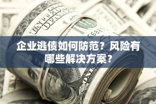 武汉企业逃债如何防范？风险有哪些解决方案？