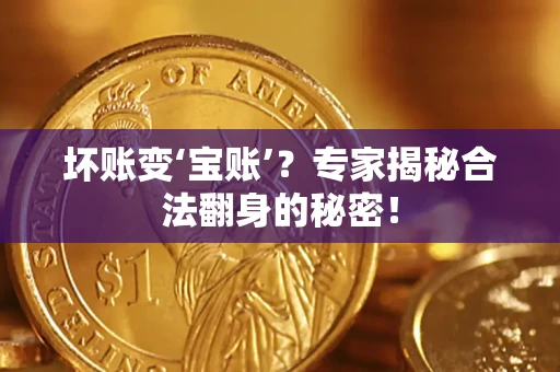 武汉坏账变‘宝账’？专家揭秘合法翻身的秘密！