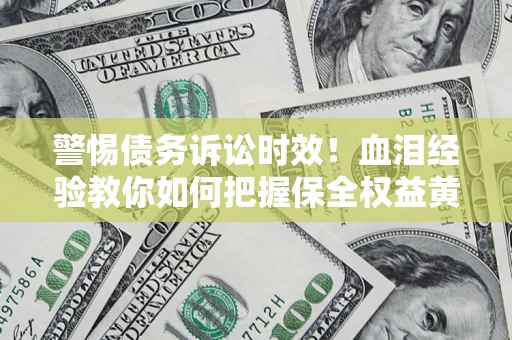 武汉警惕债务诉讼时效！血泪经验教你如何把握保全权益黄金期