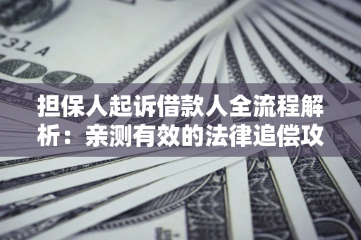 武汉担保人起诉借款人全流程解析：亲测有效的法律追偿攻略