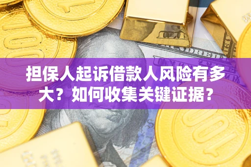 武汉担保人起诉借款人风险有多大？如何收集关键证据？