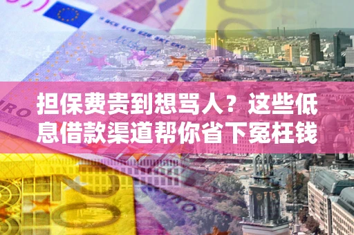 武汉担保费贵到想骂人？这些低息借款渠道帮你省下冤枉钱