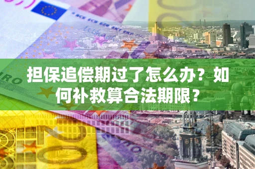 武汉担保追偿期过了怎么办？如何补救算合法期限？