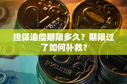 武汉担保追偿期限多久？期限过了如何补救？