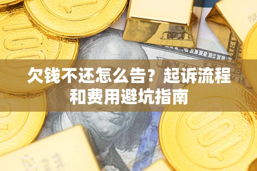 武汉欠钱不还怎么告？起诉流程和费用避坑指南
