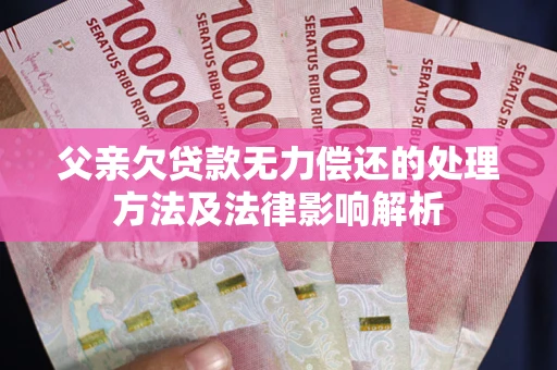 武汉父亲欠贷款无力偿还的处理方法及法律影响解析