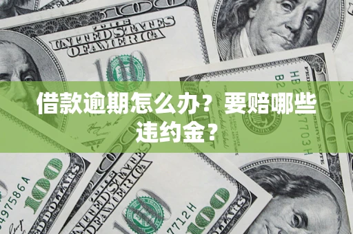 武汉借款逾期怎么办？要赔哪些违约金？