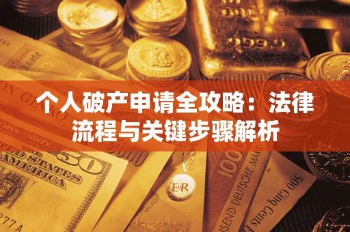 武汉个人破产申请全攻略：法律流程与关键步骤解析