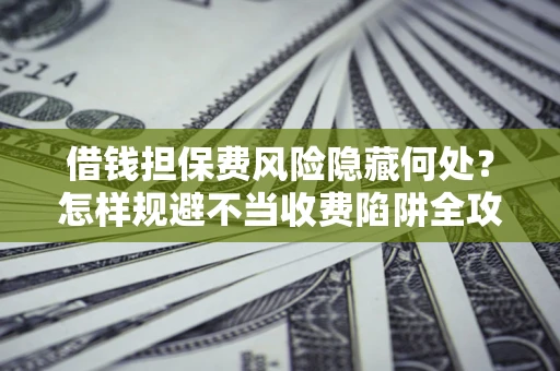 武汉借钱担保费风险隐藏何处？怎样规避不当收费陷阱全攻略！